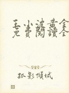 王小波黄金时代免费阅读全文