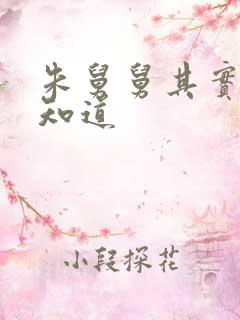 朱舅舅其实啥都知道