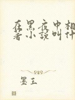 在黑夜中相拥原著小说叫什么