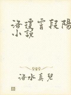 洛琼霄段阳澍的小说