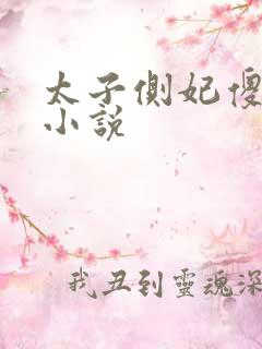 太子侧妃傻乎乎小说