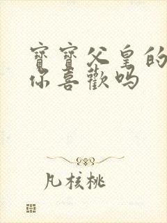 宝宝父皇的东西你喜欢吗