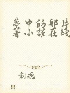 梦中的那片海原著小说在线阅读