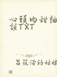 心头肉甜柚子小说TXT