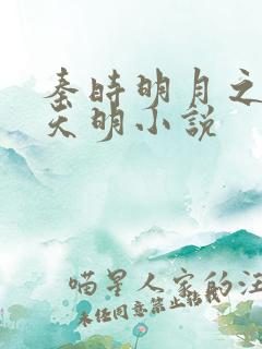 秦时明月之夜尽天明小说