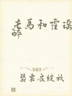 老马和霍瑶瑶喝醉