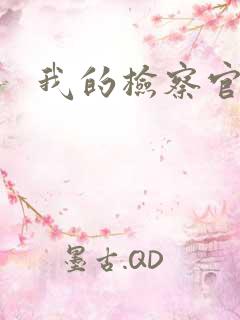 我的检察官先生