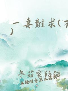 一妻难求(有肉)