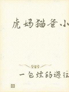 虎妈猫爸小说