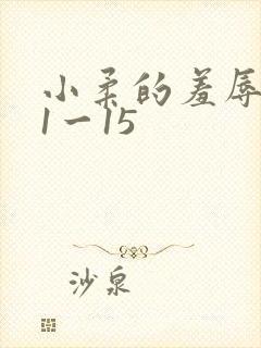 小柔的羞辱日记1一15