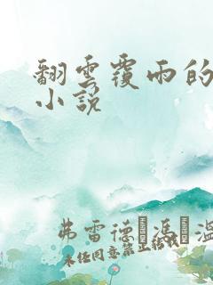 翻云覆雨的秘密小说