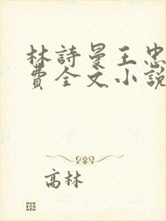 林诗曼王忠文免费全文小说的名称