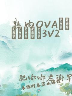 熟肉OVAちゃんはしたい3V2