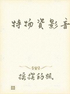 特物资影音先锋