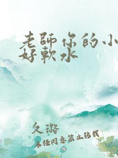 老师你的小兔子好软水