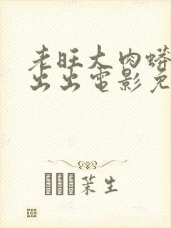 老旺大肉蟒进进出出电影免费