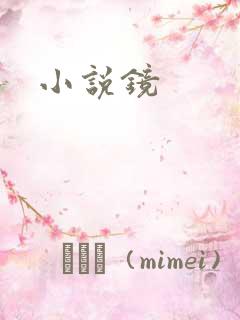 小说镜