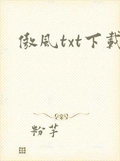 傲风txt下载
