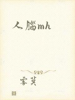 人脑mh
