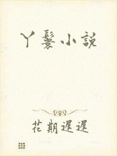 丫鬟小说