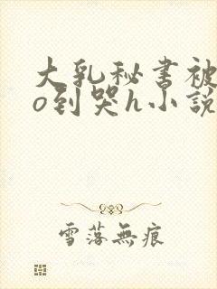 大乳秘书被cao到哭h小说