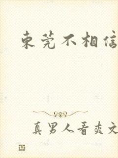 东莞不相信眼泪