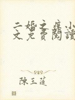 二婚之痒小说全文免费阅读