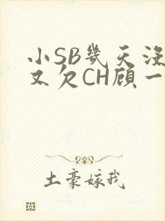小SB几天没做又欠CH顾一成