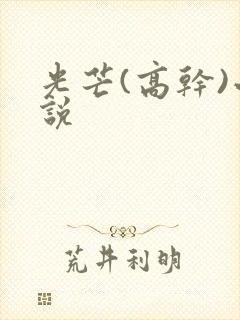 光芒(高干)小说