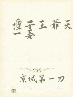 傻子王爷天下第一妾