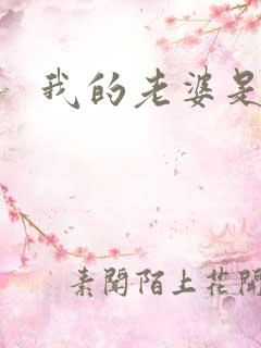 我的老婆是大神