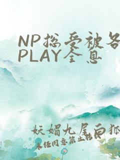 NP总受被各种PLAY全息