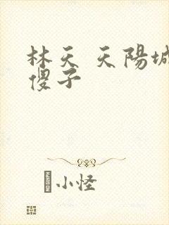 林天 天阳城 傻子