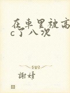 在车里被高潮被c了八次