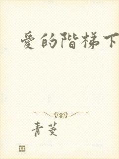 爱的阶梯下载