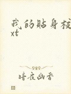 我的贴身校花txt