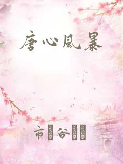 唐心风暴