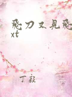 飞刀又见飞刀txt