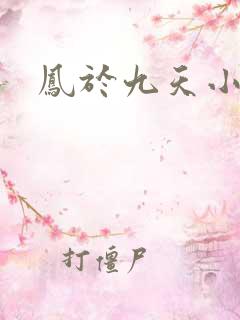 凤于九天小说