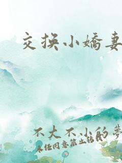 交换小娇妻互换
