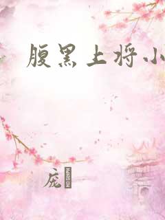 腹黑上将小小妻