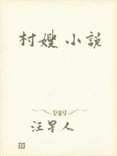 村嫂 小说