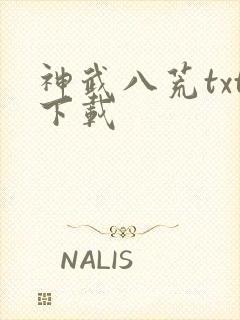 神武八荒txt下载