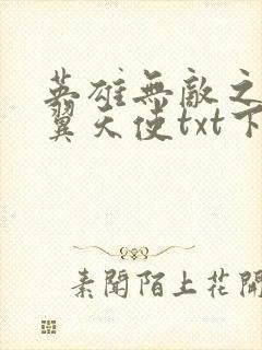 英雄无敌之十二翼天使txt下载