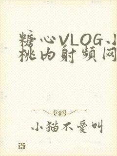 糖心VLOG小桃内射频网站