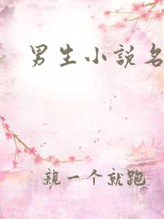 男生小说名字