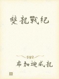 双龙战纪