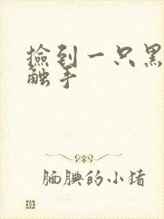 捡到一只黑心小触手