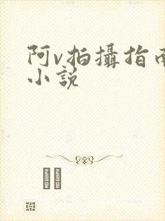 阿v拍摄指南说小说
