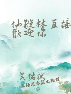 仙踪林直接入口欢迎你